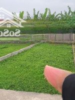 Chính Chủ Bán Đất Tại Thư Dương, Thư Phú, Thường Tín. Diện Tích: 67.7M2Mặt Tiền= Mh = 5.3M