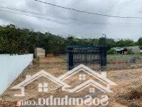 Bán Đất Hẻm 1, Ấp 3, Hùng Vương, Long Thọ, Nhơn Trạch, Đồng Nai, 4 Triệu / M2, 1300 M2