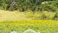 Cần Bán Lô Đất 6700M Làm Khu Nghỉ Dưỡng Của Gia Đình Hoặc Làm Khu Du Lịch Sinh Thái View Hồ Rất Đẹp