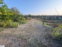 Bán Nền Đất 125M2, Có 80M2 Đất Ở Nông Thôn, Cách Đường Lý Thái Tổ 350M