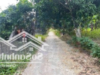 Chuyển Nhượng Lô Đất Diện Tích 1122M2 Bám Suối Tại Lương Sơn, Hoà Bình