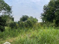 Chuyển Nhượng Lô Đất Diện Tích 1122M2 Bám Suối Tại Lương Sơn, Hoà Bình