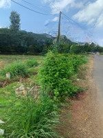 Cần Bán Đất Nền Thổ Cư Mặt Tiền Đường Nhựa Đường Thông, Dễ Kinh Doanh