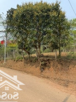 Đất Cao Phong 2000M2, Bám Đường Nhựa Liên Huyện