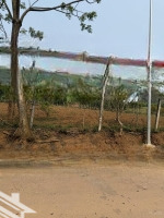 Đất Cao Phong 2000M2, Bám Đường Nhựa Liên Huyện