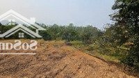 Diện Tích: 5.200M2 Trước Cổng Làng Du Lịch Đồi Hầu