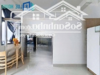 Chuỗi Căn Hộ Duplex Hạt Dẻ Ở Tân Phú Mới 100%