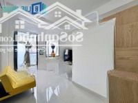 Chuỗi Căn Hộ Duplex Hạt Dẻ Ở Tân Phú Mới 100%