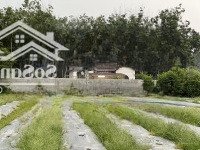 Cho Thuê Nhà Vườn Mới Xây Đẹp, Đầy Đủ Nội Thất Cao Cấp. Phù Hợp Ở Nghỉ Dưỡng/Kinh Doanh Dịch Vụ