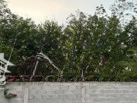 Cho Thuê Nhà Vườn Mới Xây Đẹp, Đầy Đủ Nội Thất Cao Cấp. Phù Hợp Ở Nghỉ Dưỡng/Kinh Doanh Dịch Vụ