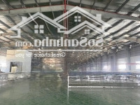 Xưởng Dệt Nhuộm 5.000M2 Cho Thuê Kcn Nhơn Trạch Giá Bán 570 Triệu/Tháng (4,5 Usd)