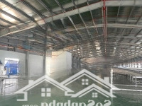 Xưởng Dệt Nhuộm 5.000M2 Cho Thuê Kcn Nhơn Trạch Giá Bán 570 Triệu/Tháng (4,5 Usd)