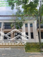 Chính Chủ Cần Tiền Bán Gấp Nhà 5X20 Tại Bàu Bàng Đã Có Sổ Hồng