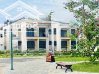 Chính Chủ Cần Tiền Bán Gấp Nhà 5X20 Tại Bàu Bàng Đã Có Sổ Hồng