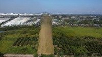Bán Gần 1 Mẫu Đất Phước Đông 400M2 Thổ Cư, Giá Chỉ 3,5 Tỷ!