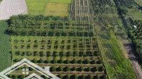 Bán Gần 1 Mẫu Đất Phước Đông 400M2 Thổ Cư, Giá Chỉ 3,5 Tỷ!