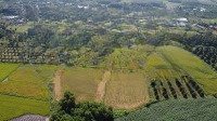 Bán Gần 1 Mẫu Đất Phước Đông 400M2 Thổ Cư, Giá Chỉ 3,5 Tỷ!