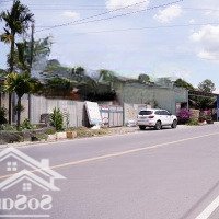 Bán Đất Mặt Tiền Đường Hùng Vương, Phước An, Nhơn Trạch Có Sẵn Nhà Cấp 4 Cho Thuê
