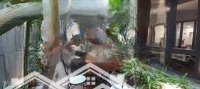 Biệt Thự Sân Vườn Quận Ba Đình-Gara Oto-Tặng Full Nội Thất-Sổ Đỏ Sẵn Sàng Giao Dịch