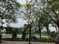 Bán Nhà Cấp 4 Phố Trịnh Công Sơn, Viu Hồ, 1 Mặt Ngõ, 1 Mặt Phố, Kinh Doanh Đỉnh