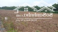 Bán Đất Tại Cầu Khởi, 550 Triệu, 126 M2, Giá Siêu Hời, Rất Gần Mặt Tiền Đường, Núi Bà Đen