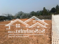 Khu Đất Gần Kdl Hồ Phượng Mao Tại Thanh Thủy, Phú Thọ Giá Mở Bán Từ 380 Triệu