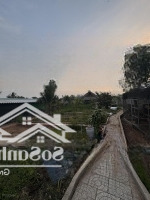 Bán Nhà Vườn Tại Khu Di Tích Giàn Gừa Xã Nhơn Nghĩa Huyện Phong Điền Tp Cần Thơ