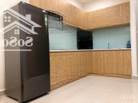 Chủ Nhà Cần Cho Thuê Căn Hộ Sunrise City Phú Mỹ Hưng, Quận 7, Nhà Mới 100%, Đẹp Lung Linh Như Hình