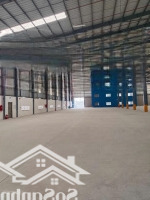 Cho Thuê Kho Xưởng 6000M2 Trong Kcn Cơ Khí Ô Tô Hòa Phú Củ Chi