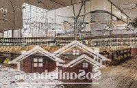 Cho Thuê Nhà Mặt Phố Lò Đúc, Q. Hbt -Diện Tích120M2 X 3 Tầng -Mặt Tiền9M - Mặt Tiền Rộng - Ngay Ngã Ba