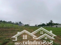 Bán 3792M2 Có Đất Ở, View Nghỉ Dưỡng. Trên Đất Sẵn Khuôn Viên, Cổng Tường Bao. Giá Nhỉnh 1 Triệu/M2