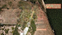 Bán Đất Đường Liên Xã Bình An-Sông Nhạn, S: 1202M2, 60M Mặt Tiền, Đường Điện 3 Pha, Đối Diện 90Ha