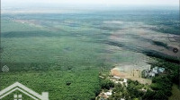 Bán Đất Đường Liên Xã Bình An-Sông Nhạn, S: 1202M2, 60M Mặt Tiền, Đường Điện 3 Pha, Đối Diện 90Ha
