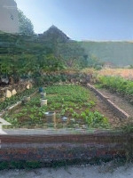 Đất Mỹ Nội, Bắc Hồng Gần Vành Đai 3 Giá Chỉ 3,1 Tỷ