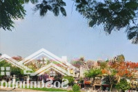 Cần Bán Gấp Nhà Mặt Phố Vũ Tông Phan, Chỉ 300 Triệu/M2,Diện Tích130M2, Lô Góc
