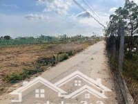 Đất T/Cmặt Tiềnđườg Phường 8,Hẻm Nguyễn Đình Chiểu,Btdiện Tích135M2 Shr Gần Chợ Đầu Mối. Sang Tên Tỏng Ngày