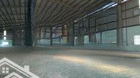 Cho Thuê Kho Xưởng 4300M2 Ở Tân Túc, Bình Chánh. Đường Container, Pccc, Điện 3Fa. Giá 258 Triệu