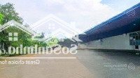 Cho Thuê Kho Xưởng 4300M2 Ở Tân Túc, Bình Chánh. Đường Container, Pccc, Điện 3Fa. Giá 258 Triệu