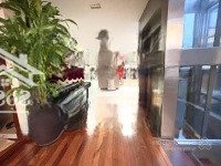 Bán Biệt Thự Thành Công, Ba Đình.diện Tích146,6M2.Mặt Tiền8,4M - 60 Tỷ