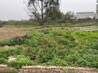 Bán Đất Tại Happy Land Bắc Hồng,Đông Anh, 3,2 Tỷ, 45M2 View Đẹp Giá Tốt