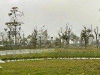 Cần Bán Gấp Lô Đất Ở Vinaconex - Chính Chủ, Giá Tốt, Tiềm Năng Tăng Giá Mạnh