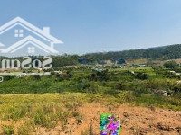 Bán Gấp ! Hơn 1000 M2 Mặt Tiền Rộng View Tượng Phật Mẹ Quan Âm Cạnh Đà Lạt Chỉ 1.350 Tr