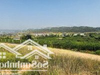 Bán Gấp ! Hơn 1000 M2 Mặt Tiền Rộng View Tượng Phật Mẹ Quan Âm Cạnh Đà Lạt Chỉ 1.350 Tr