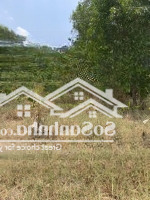 Cần Tiền Bán Gấp Đất Chính Chủ. 3000M2 Mặt Tiền Đường Lớn Thông. Tiện Kd Mọi Ngành Nghề