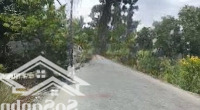 Cần Tiền Bán Gấp Đất Chính Chủ. 3000M2 Mặt Tiền Đường Lớn Thông. Tiện Kd Mọi Ngành Nghề
