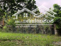 Bán 2800M Tại Tiến Xuân Thạch Thất