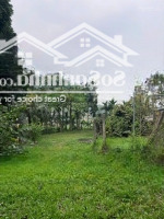 Bán 2800M Tại Tiến Xuân Thạch Thất