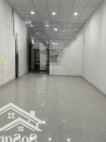 Cho Thuê Mặt Bằng Văn Phòng Đường Phổ Quang 56M2: Giá Chỉ 12 Triệu/Tháng