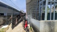 Bán Nhà Cấp 4 Diên Lạc Hẻm Tư Văn Cách Tl2 Chỉ 100M! - Diện Tích: 69.5M2. Ngang 7M Nở Hậu 7M2