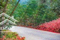 Đầu Tư Ngay Thung Lũng Thanh Xuân Valley Giá Tốt Nhất Thị Trường Liên Hệ: 0966382595